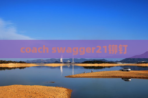 coach swagger21铆钉